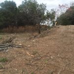 Ground breaking on a Mid-Century Modern bungalow in Lakeway, Texas.